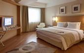 Туры в отель Anemon Afyon Spa Hotel & Convention Center
