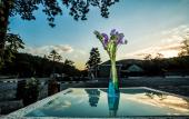 Туры в отель Troodos Hotel
