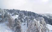 Туры в отель Troodos Hotel