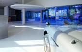 Туры в отель Higueron Hotel Curio Collection by Hilton