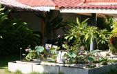 Туры в отель Lotusland Resort