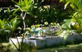 Туры в отель Lotusland Resort
