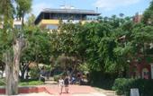 Туры в отель Cleo Mare Hotel & Apart