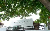 Туры в отель The Hammock Samui Beach Resort