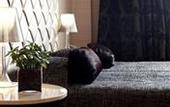 Туры в отель Cleopatra Hotel