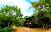Туры в отель Cinnamon Wild Yala