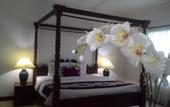 Туры в отель Puri Maharani Boutique Hotel & Spa