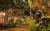 Туры в отель Cliff Hotel Rugen