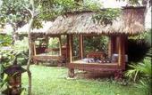 Туры в отель Cliff Hotel Rugen