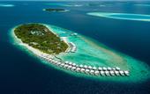 Туры в отель Amilla Maldives Resort and Residences
