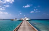 Туры в отель Amilla Maldives Resort and Residences
