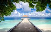 Туры в отель Amilla Maldives Resort and Residences