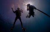 Туры в отель Amilla Maldives Resort and Residences