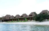 Туры в отель Pemba Misali Sunset Beach Resort
