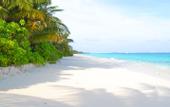 Туры в отель TME Retreats Dhigurah
