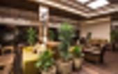 Туры в отель Gorrion Hotel Istanbul