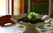 Туры в отель Casa nel Sole