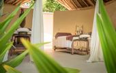 Туры в отель Zanzibar White Sand Luxury Villas & Spa