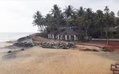 Туры в отель Palm Tree Bungalow - Varkala