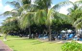 Туры в отель Club Bali Mirage