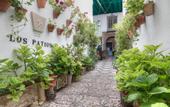 Туры в отель Los Patios