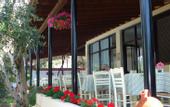 Туры в отель Asteris Village