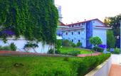 Туры в отель Sunshine Holiday Resort