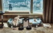 Туры в отель The Ritz-Carlton Hong Kong