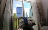 Туры в отель K Suites