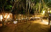 Туры в отель Club Hotel Dolphin