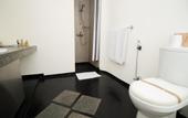 Туры в отель Colombo Hotel by Ceilao Villas
