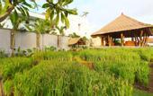Туры в отель The Kirana Hotel Resto & Spa