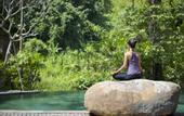 Туры в отель The Lokha Ubud Resort Villas & Spa