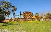 Туры в отель Albatros Beach Club