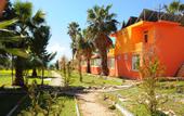 Туры в отель Albatros Beach Club