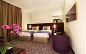 Туры в отель Raviz Center Point Hotel