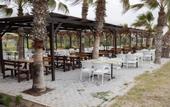 Туры в отель Club Hotel Felicia Village