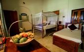 Туры в отель Amor Beach Unawatuna