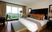 Туры в отель Mount Meru Hotel