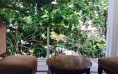 Туры в отель Pirache Art Hotel