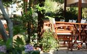 Туры в отель Hotel Liotopi