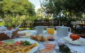 Туры в отель Hotel Liotopi