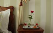 Туры в отель Hotel Liotopi
