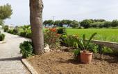 Туры в отель Efesos Beach Boutique Hotel
