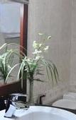 Туры в отель Dong Kinh Hotel