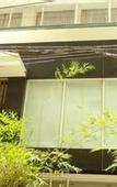 Туры в отель Dong Kinh Hotel
