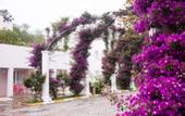 Туры в отель Kadikale Resort