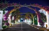 Туры в отель Kadikale Resort