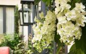 Туры в отель Villa Madame