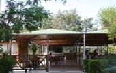 Туры в отель Club Lagonya Garden